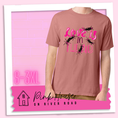 Mauve Tee with Graphic. Graphic says " Love Is in the Air". "Love Is" is a hot pink cursive font with white highlights and hot pink accent lines underneath is the word "In" Is it in a black font with a hot pink highlight. on the bottom is "The Air" in Light pink with light pink accent lines. There are also black flying bugs with hot pink spots behind their heads