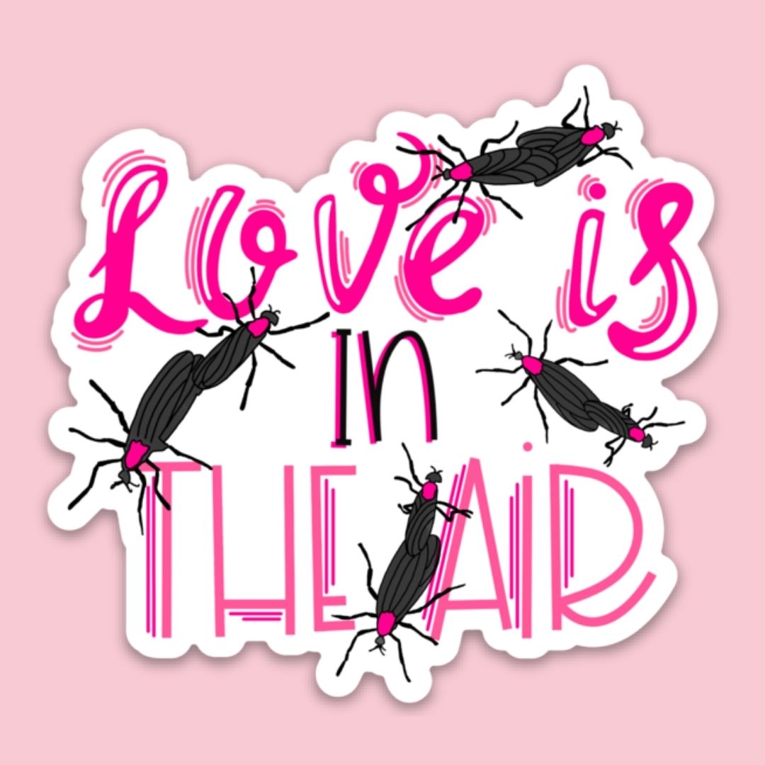 Love Is In the Air Sticker